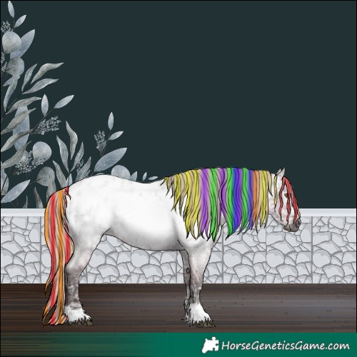 Horse Color:Gray Painted Silver Grullo Ice Roan Frame Appaloosa Rabicano 