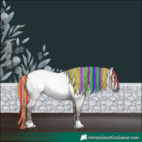 Horse Color:Gray Painted Silver Grullo Ice Roan Frame Blanket Rabicano 