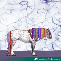 Horse Color:Gray Painted White Spotted Silver Brown Ice Dun Frame Appaloosa Rabicano 