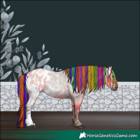 Horse Color:Gray Painted White Spotted Liver Red Dun Ice Roan Appaloosa Rabicano 