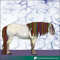 Horse Color:Painted Liver Red Dun Ice Roan Frame Rabicano 