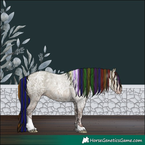 Horse Color:Gray Painted Sable Champagne Ice Roan Tobiano Rabicano