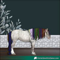 Horse Color:Gray Painted Sable Champagne Ice Roan Tobiano Rabicano 