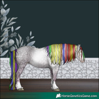 Horse Color:Gray Painted White Spotted Classic Champagne Ice Tobiano Rabicano 