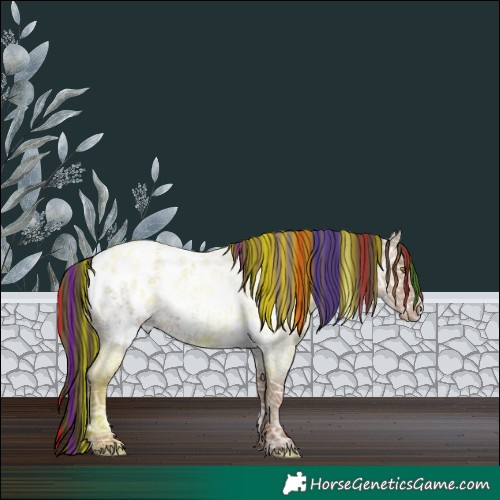 Horse Color:Painted White Spotted Classic Champagne Ice Roan Blanket Rabicano 