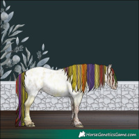 Horse Color:Painted White Spotted Classic Champagne Ice Roan Blanket Rabicano 