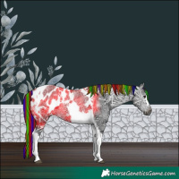 Horse Color:Gray Painted Black Ice Tobiano Appaloosa Rabicano 