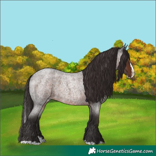 Horse Color:Liver Red Roan Splash 
