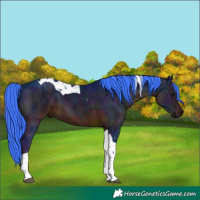 Horse Color:Watercolor Midnight Brown Tobiano 