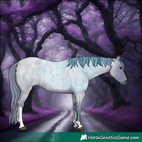 Horse Color:Watercolor Blue Roan Tobiano 