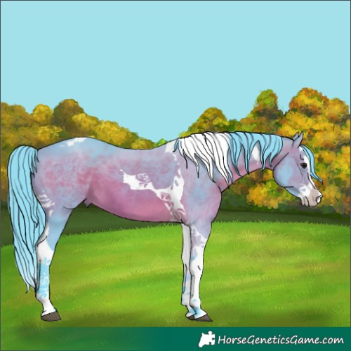 Horse Color:Watercolor Brown Splash Tobiano 