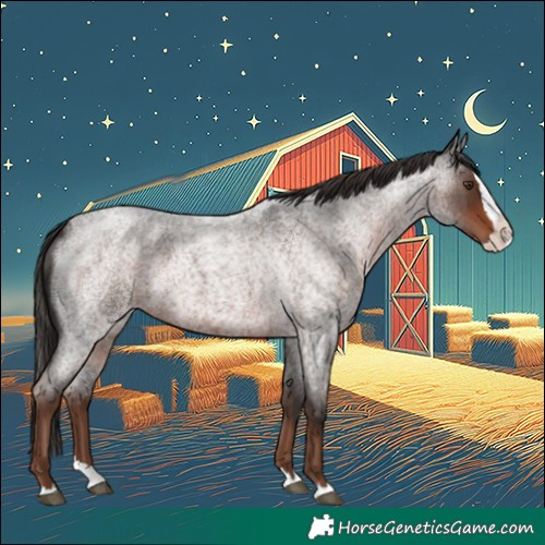 Horse Color:Liver Red Roan Splash