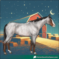 Horse Color:Liver Red Roan Splash 