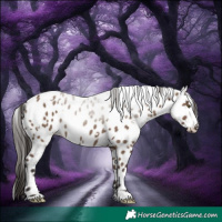 Horse Color:White Spotted Liver Red Dun Appaloosa 