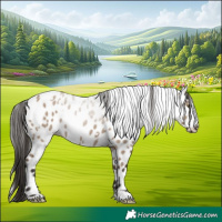 Horse Color:White Spotted Liver Red Dun Appaloosa 