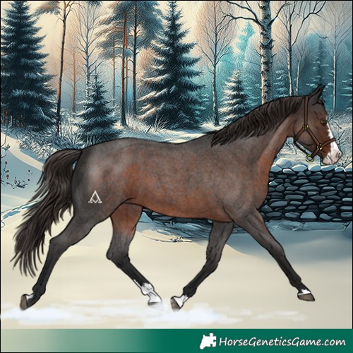 Horse Color:Liver Red Roan Splash 