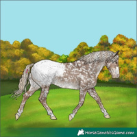 Horse Color:Liver Red Dun Snowcap 