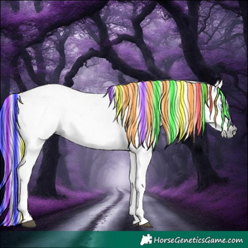 Horse Color:Gray Painted Silver Smoky Blue Onyx Ice Roan Snowdrop Splash 