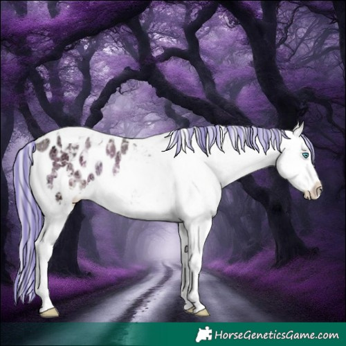 Horse Color:Painted Silver Brown Ice Onyx Splash Tobiano Blanket 
