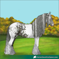 Horse Color:Midnight Brown Ice Tobiano 