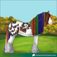 Horse Color:Painted Brown Splash Appaloosa 