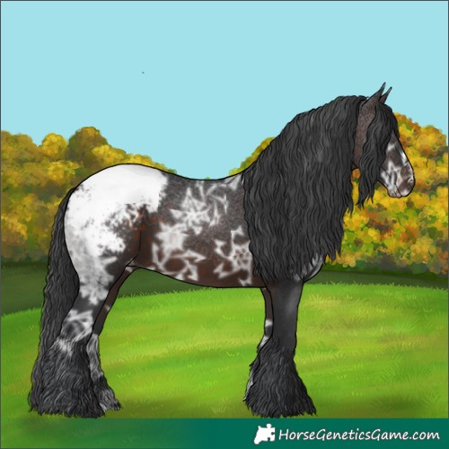 Horse Color:Brown Ice Snowcap