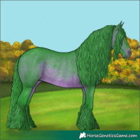 Horse Color:Watercolor Brown Rabicano 