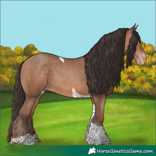 Horse Color:Sable Champagne Tobiano