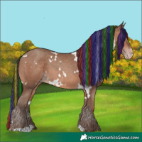 Horse Color:Painted White Spotted Sable Champagne 