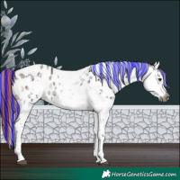 Horse Color:Gray Painted Liver Red Onyx Ice Splash Tobiano Near Leopard
