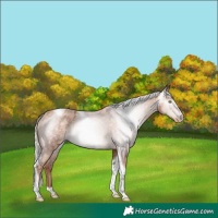 Horse Color:Gray Gold Champagne Mushroom Tobiano Varnish 