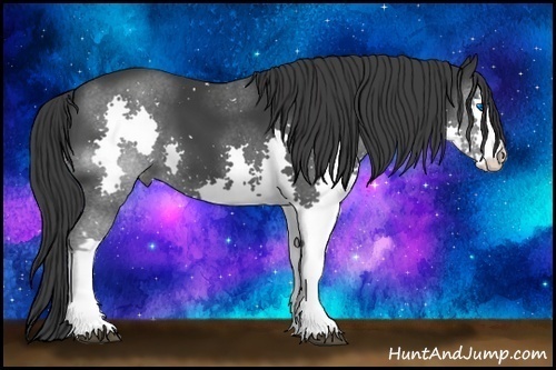 Horse Color:Black Splash 