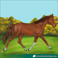 Horse Color:Chestnut Tobiano 