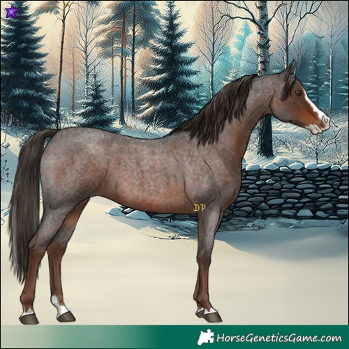 Horse Color:Liver Red Roan Splash 