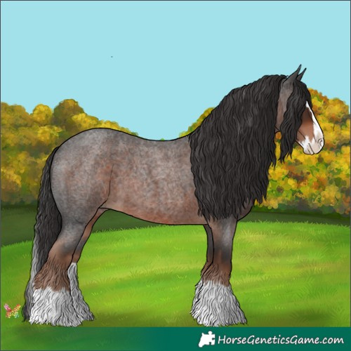 Horse Color:Liver Red Roan Splash