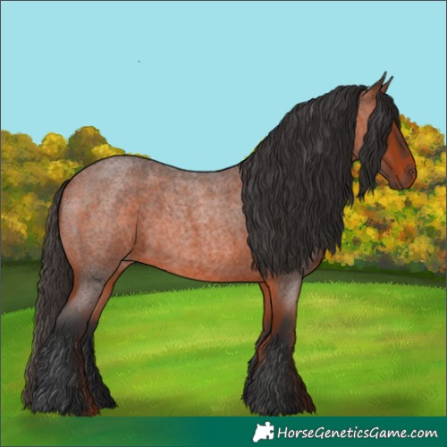 Horse Color:Bay Roan Rabicano