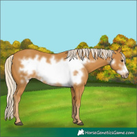 Horse Color:Palomino Frame