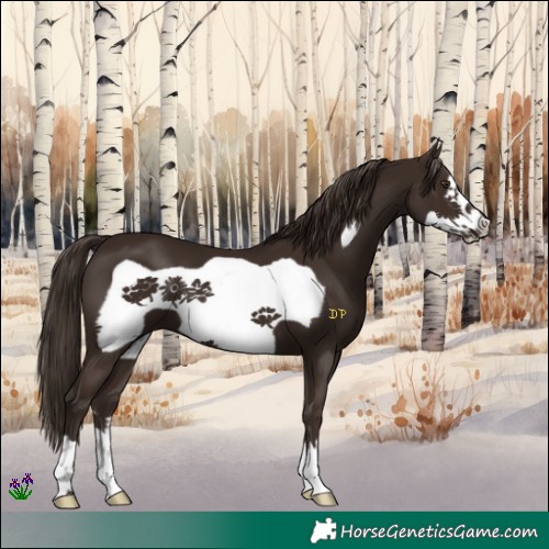 Horse Color:Liver Chestnut Frame 