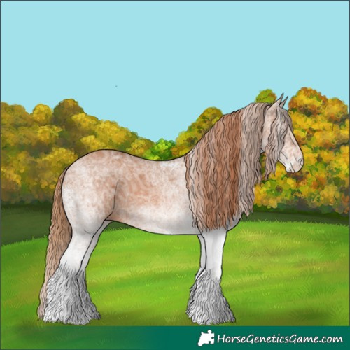 Horse Color:White Spotted Chestnut Ice 