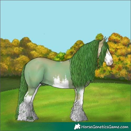 Horse Color:Watercolor White Spotted Bay Dun 