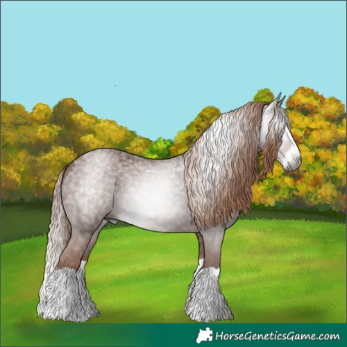 Horse Color:Gray Chestnut Ice Splash 