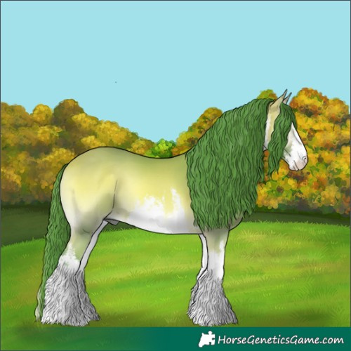 Horse Color:Watercolor White Spotted Buckskin Onyx 