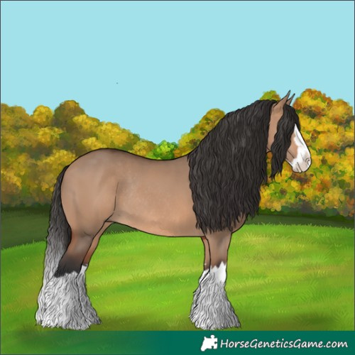 Horse Color:Bay Dun Splash Rabicano 