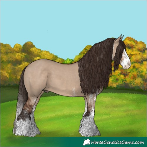 Horse Color:White Spotted Liver Red Dun Splash 