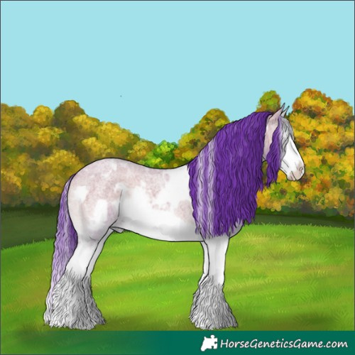Horse Color:Watercolor White Spotted Smoky Grullo Roan Onyx Splash Frame Rabicano 