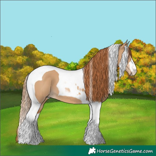 Horse Color:Red Dun Tobiano 