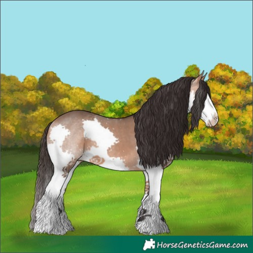 Horse Color:Bay Dun Splash 