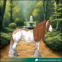 Horse Color:Red Dun Splash Frame Rabicano 