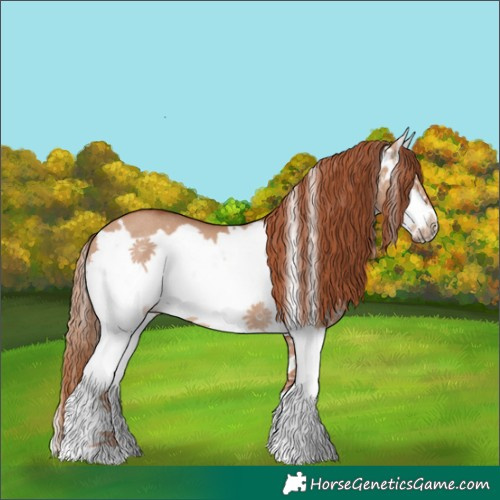 Horse Color:Red Dun Splash Frame Rabicano 