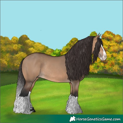 Horse Color:Bay Dun Splash Rabicano 